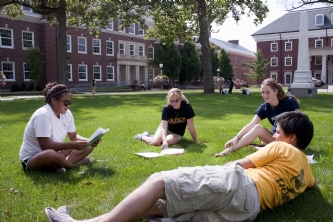 quad study.jpg